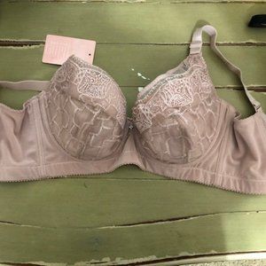 Orlinas Lavender Bra with Tags